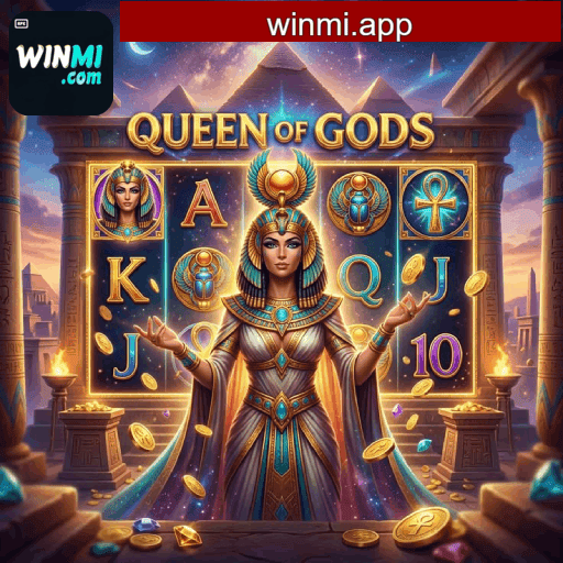 winmi: Plataforma Confiável e Profissional